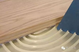 地板辅料大全 一个都不能小看胶粘制品